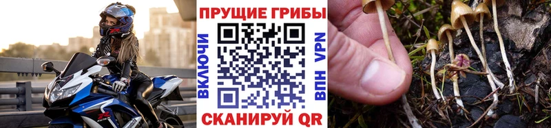 Галлюциногенные грибы MAGIC MUSHROOMS  Купить  Горно-Алтайск 